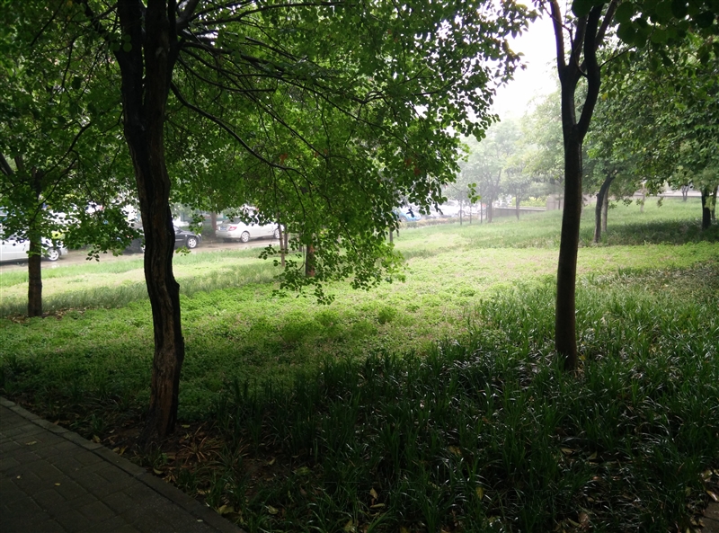 oneplus one camera samples