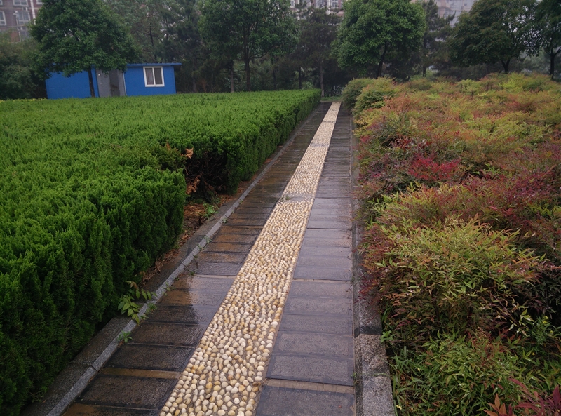 oneplus one camera sample