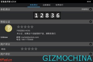 processor a31