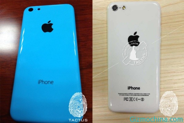 iPhone 5C Blue case picture is exposure - Gizmochina