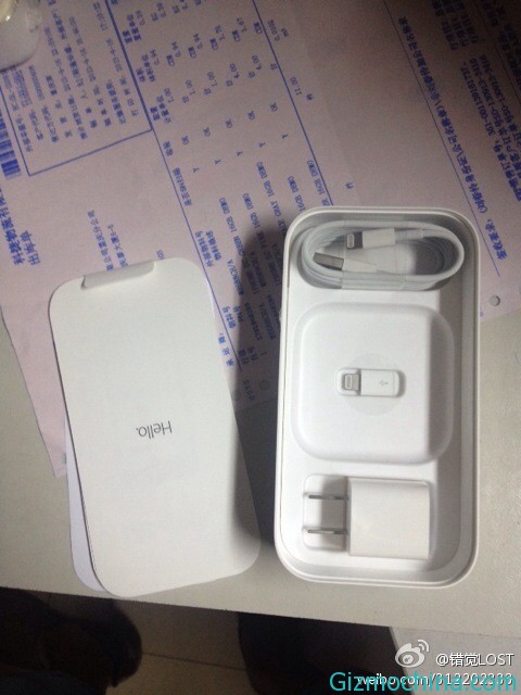 AppleiP5SC-06
