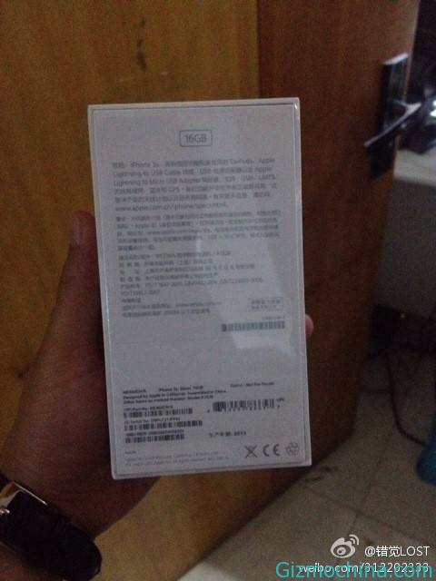 AppleiP5SC-11