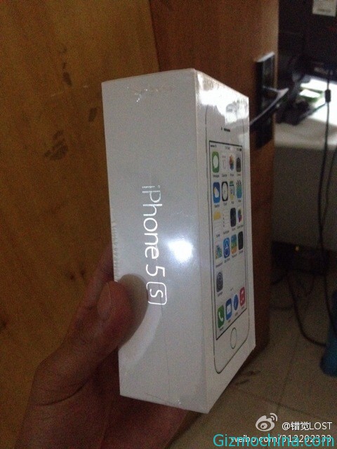 AppleiP5SC-12