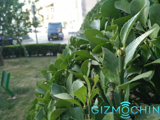 Img405161650