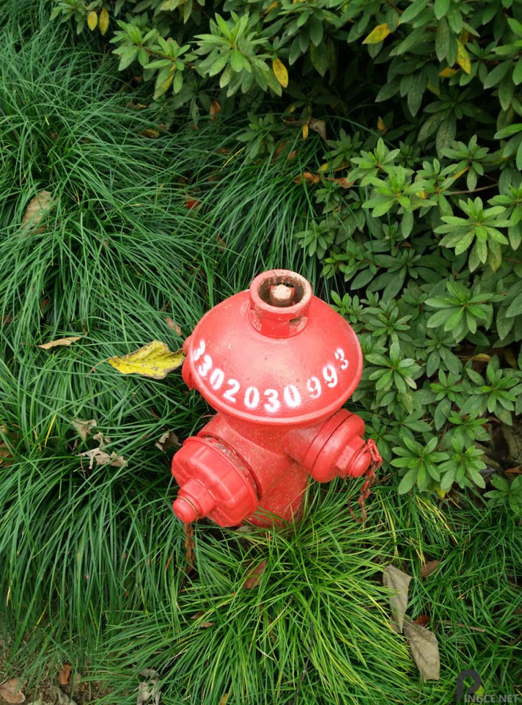 水泵-小米4