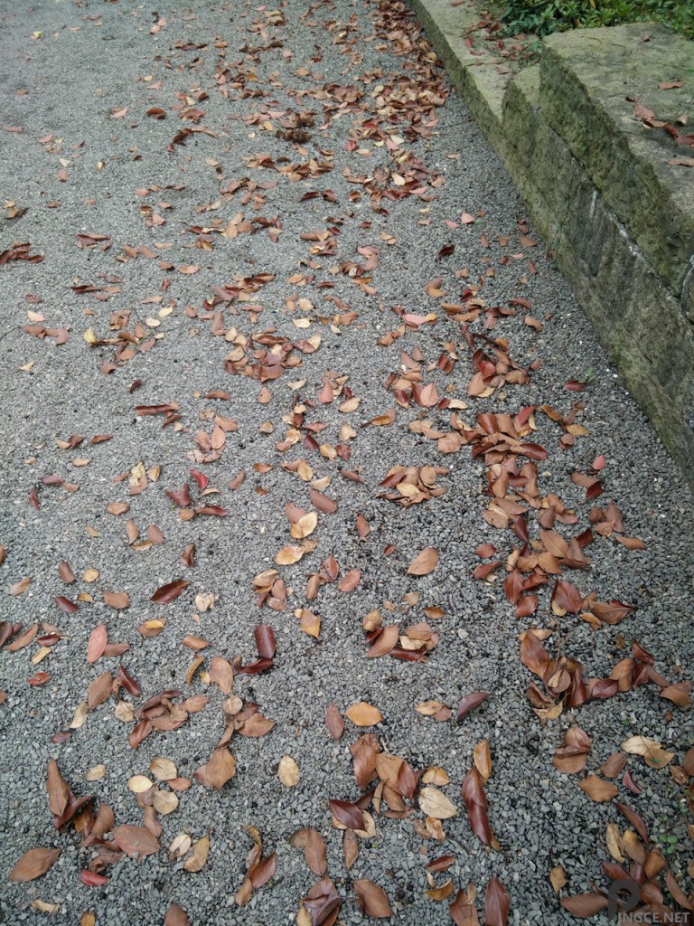 路面-一加