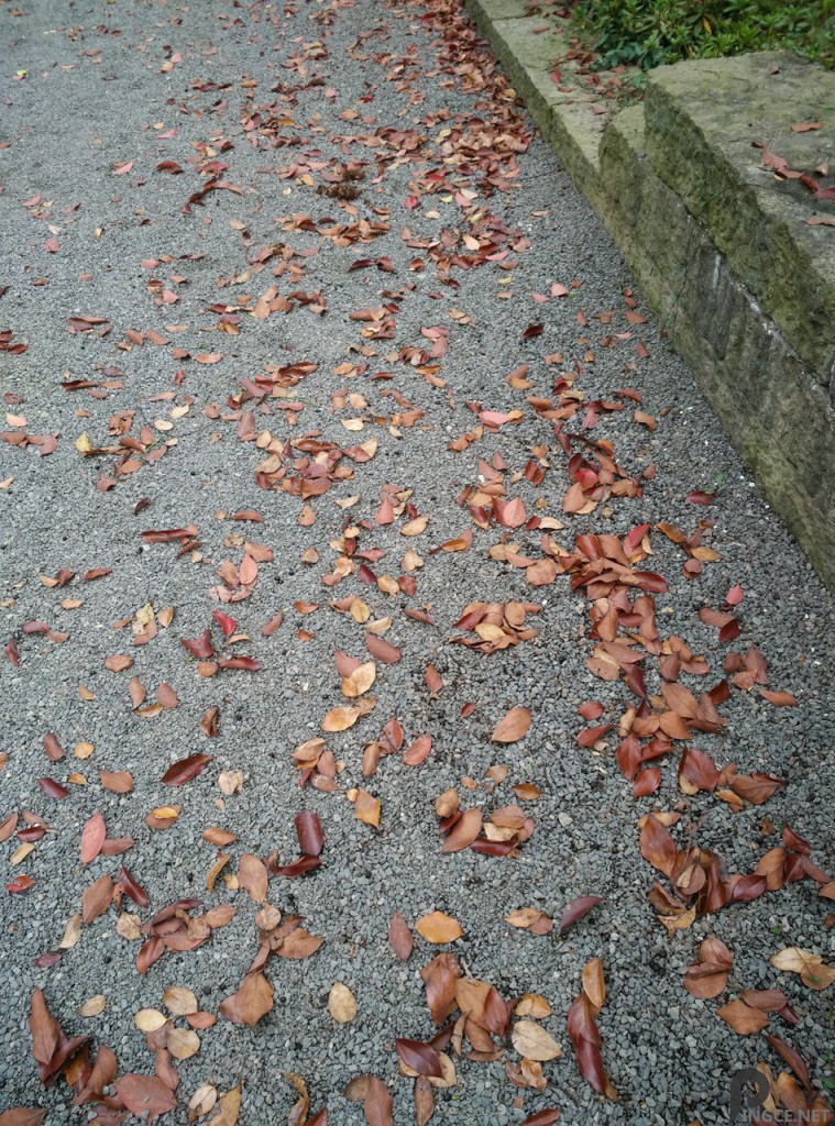 路面-小米4