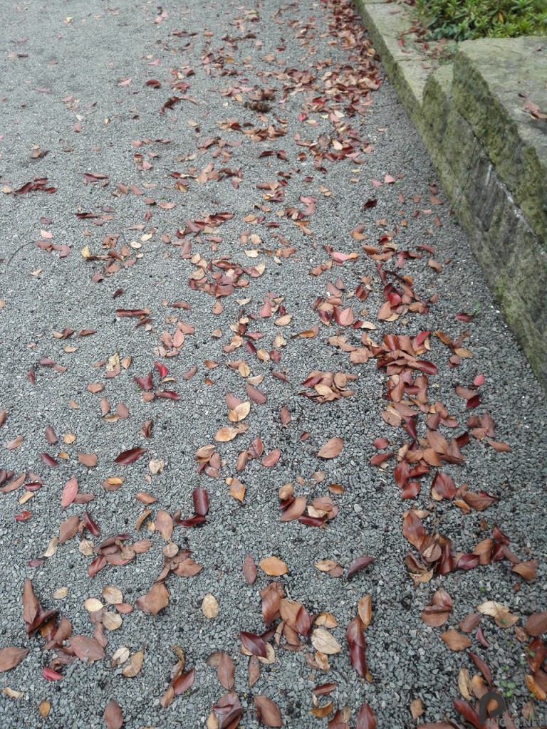 路面-荣耀6
