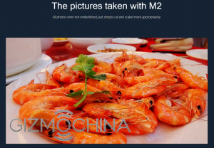 M2-2