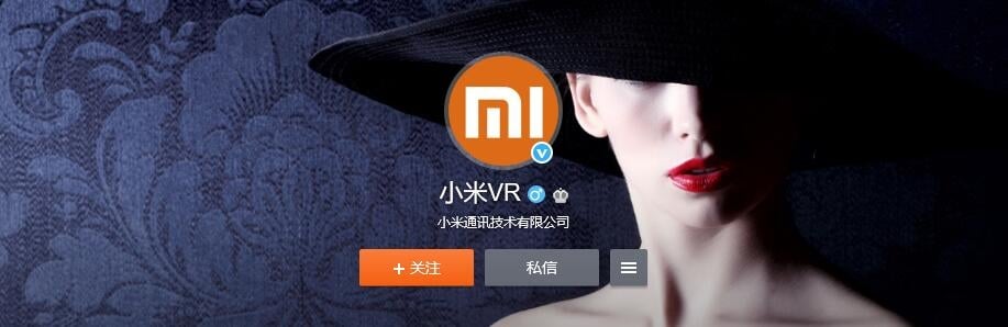 Xiaomi VR