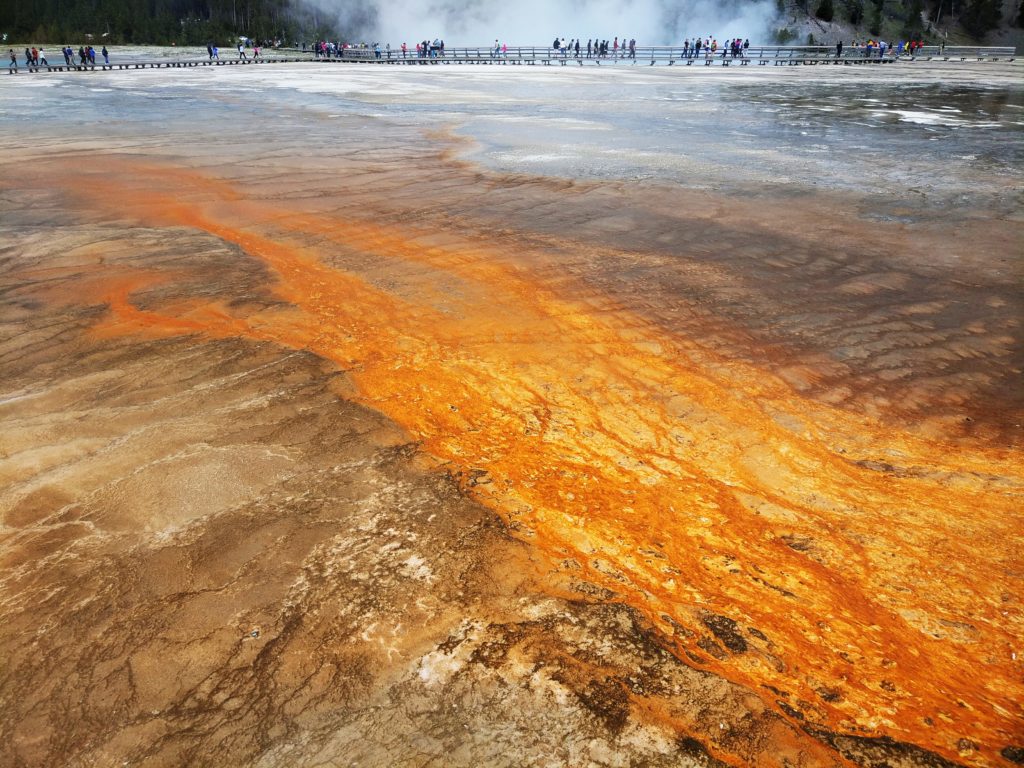 Mi 5S camera sample 02