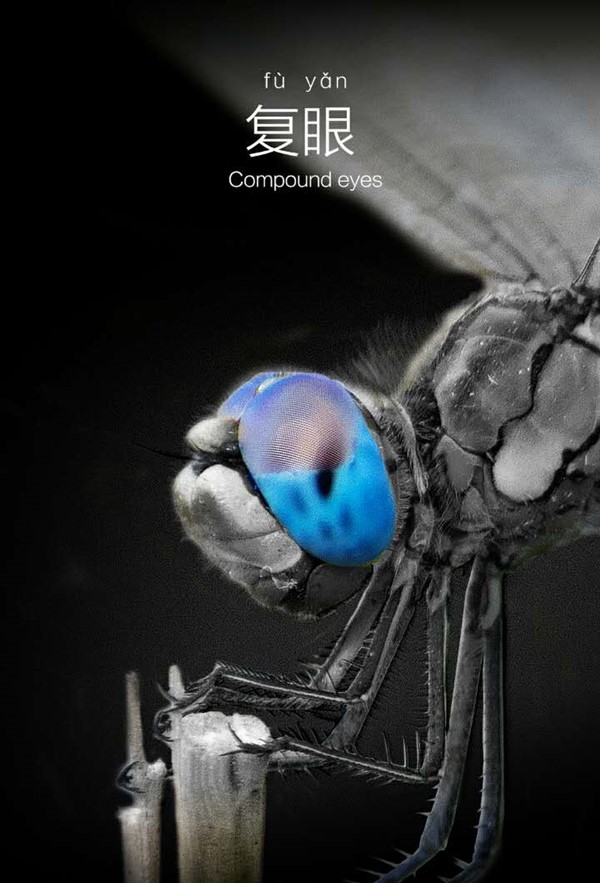 New Xiaomi Crowdfunding Project: Inspired by a Dragonfly - Gizmochina