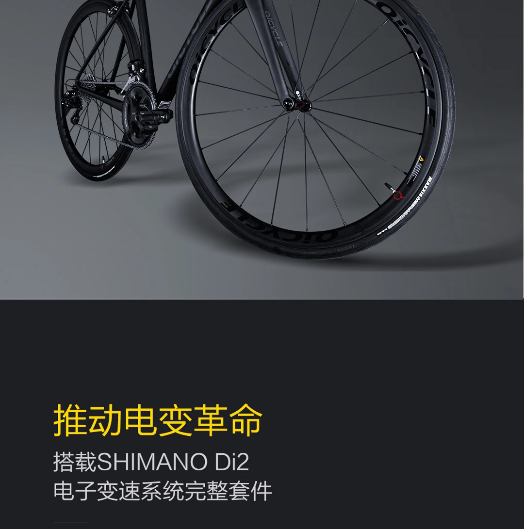 qicycle r1