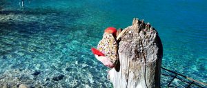 meizu m5 note cam sample