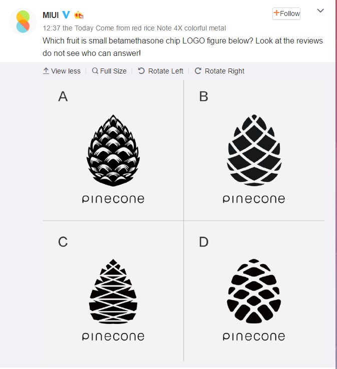 Pinecone Logo Poll