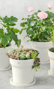 Huahuacaocao Smart Flower Pot 2