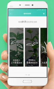 Huahuacaocao Smart Flower Pot 3