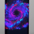Samsung Galaxy S8