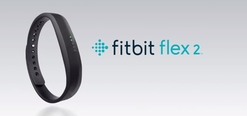 Fitbite Flex 2