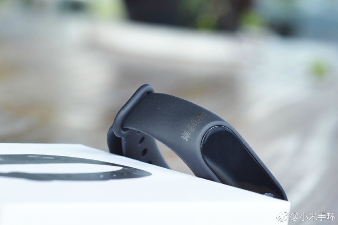 Xiaomi Mi Band 2 Mi 6 Commemorative Edition