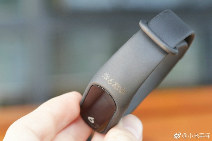 Xiaomi Mi Band 2 Mi 6 Commemorative Edition