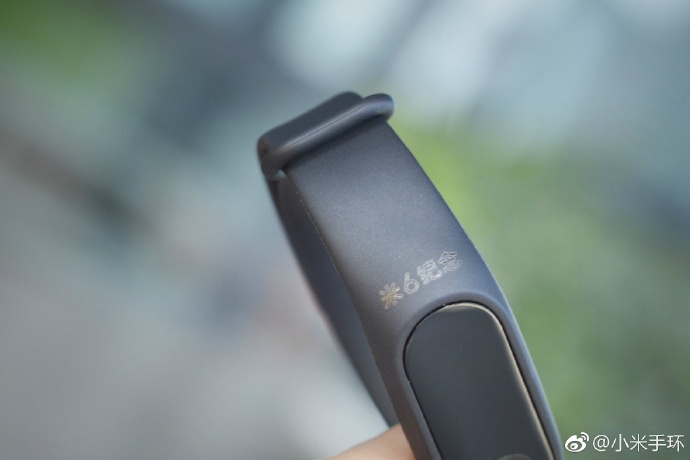 Xiaomi Mi Band 2 Mi 6 Commemorative Edition