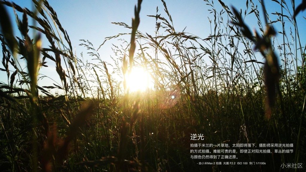 Mi Max 2 Camera Sample 02