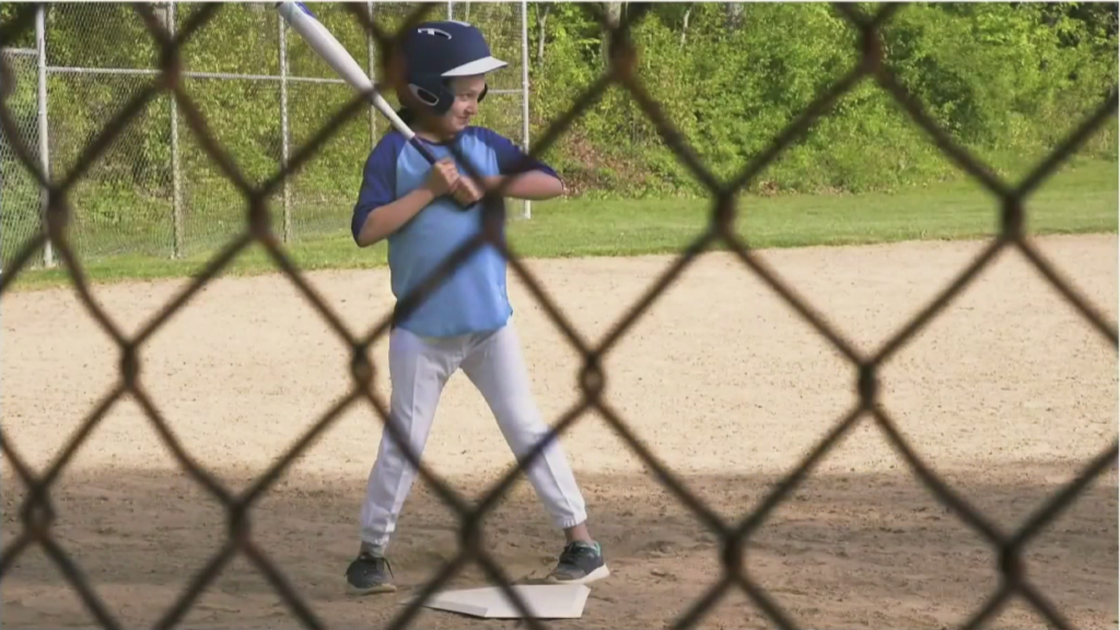 google vision ai baseball girl with fence before