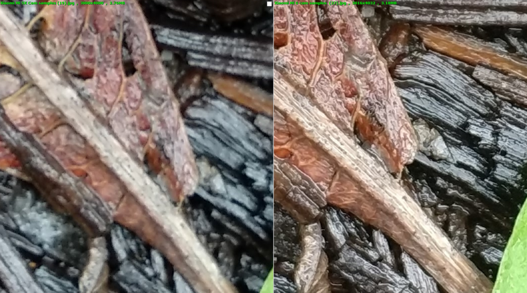 Mi 5X vs Mi 6 Leaf image zoomed(L vs R)