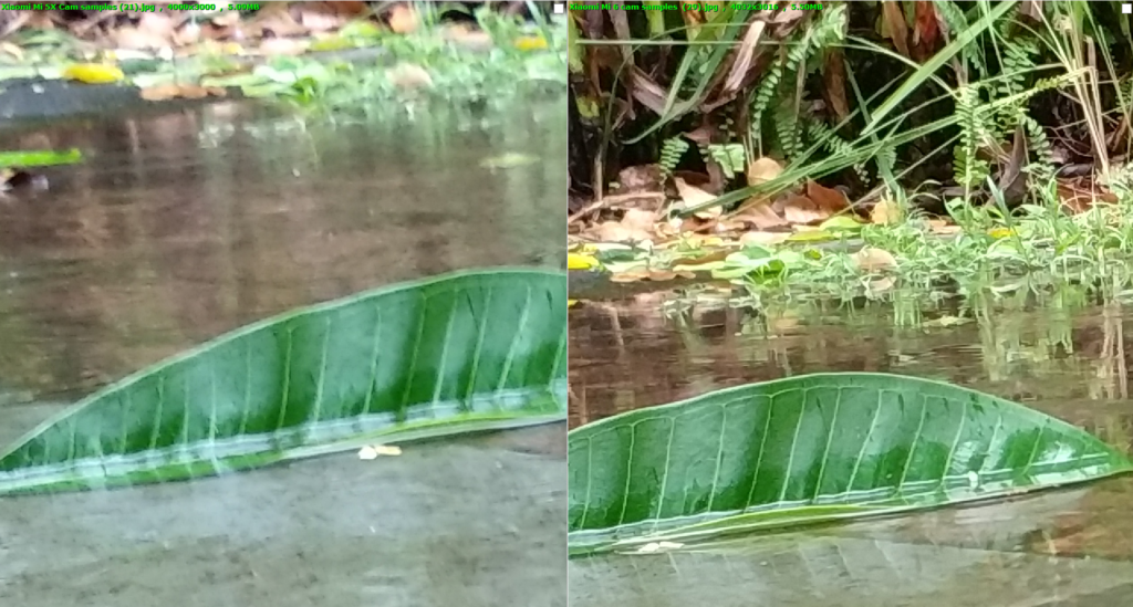 Mi 5X vs Mi 6 leaf ground zoomed in