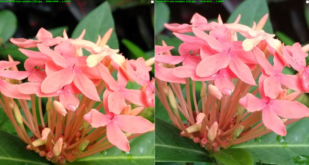 Mi 5x vs Mi 6 Flower (L vs R)