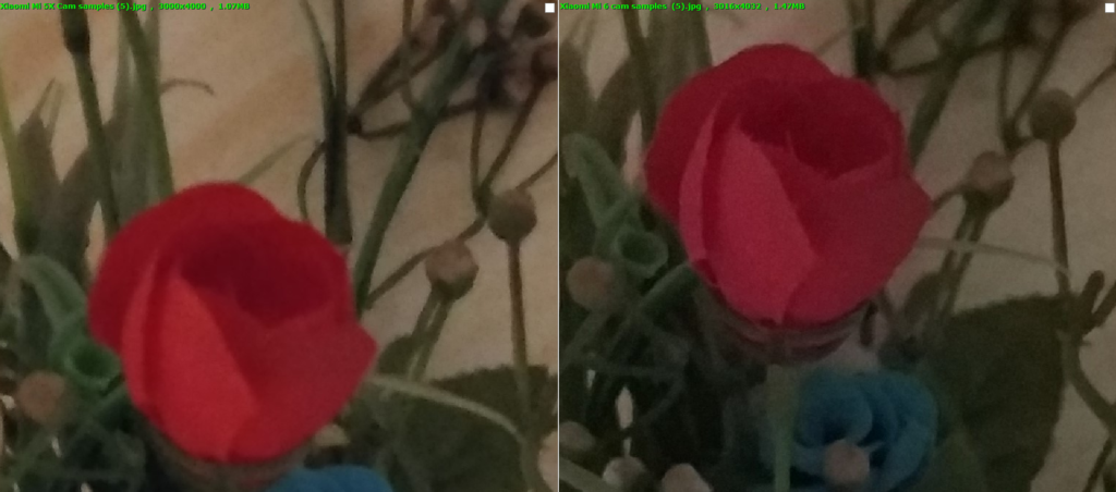 Mi 5x vs Mi6 red rose zoomed