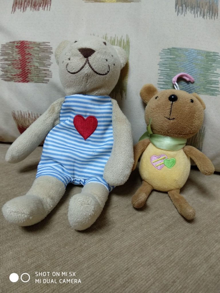 Xiaomi Mi 5X Cam samples (1)