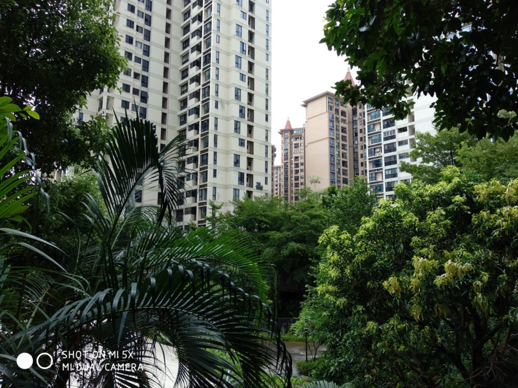 Xiaomi Mi 5X Cam samples (14)