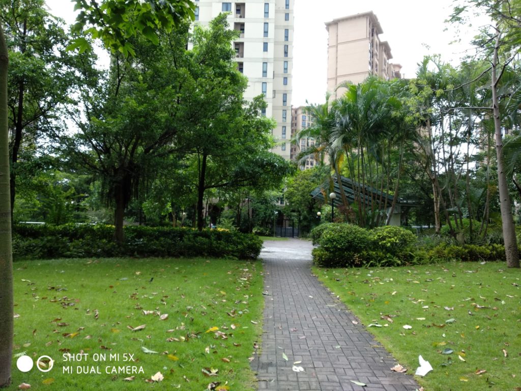 Xiaomi Mi 5X Cam samples (16)