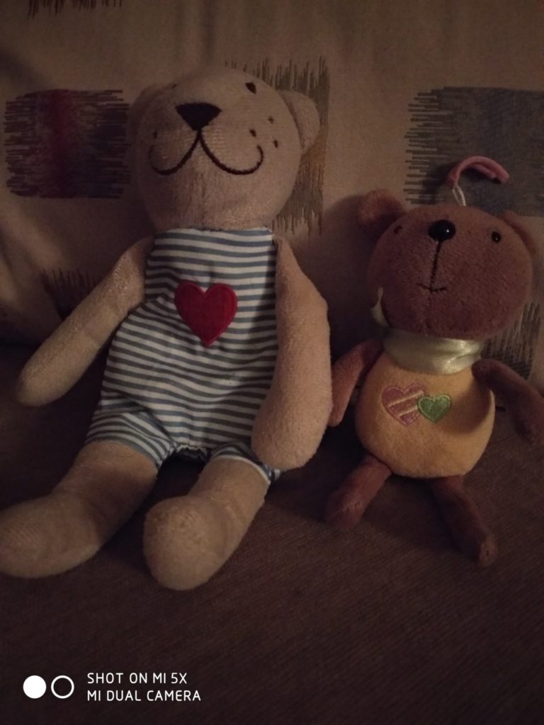 Xiaomi Mi 5X Cam samples (2)