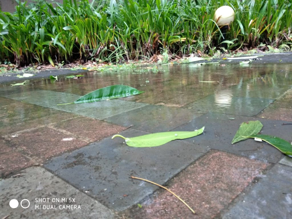 Xiaomi Mi 5X Cam samples (21)