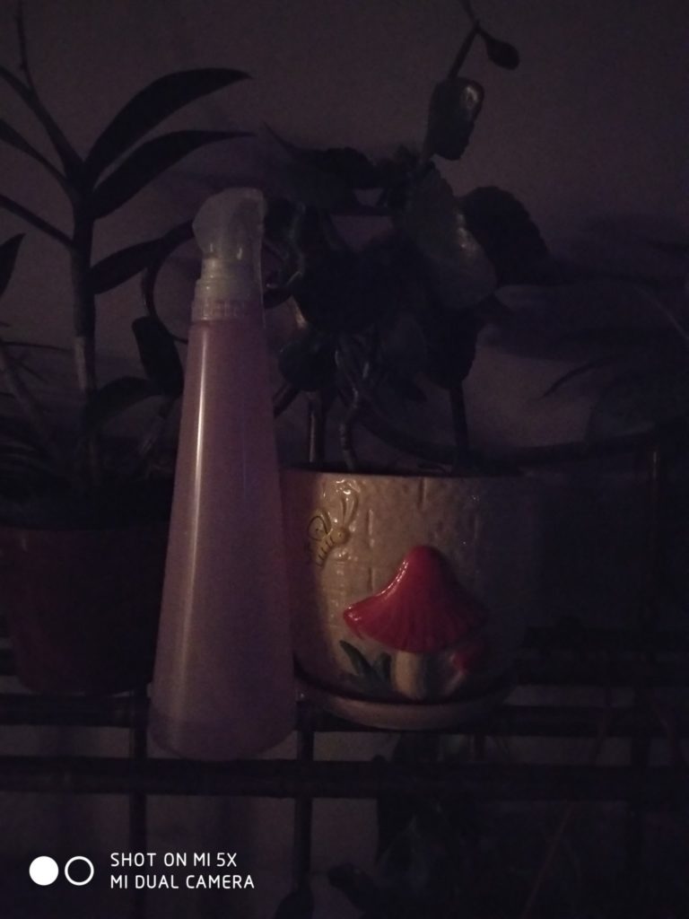 Xiaomi Mi 5X Cam samples (4)