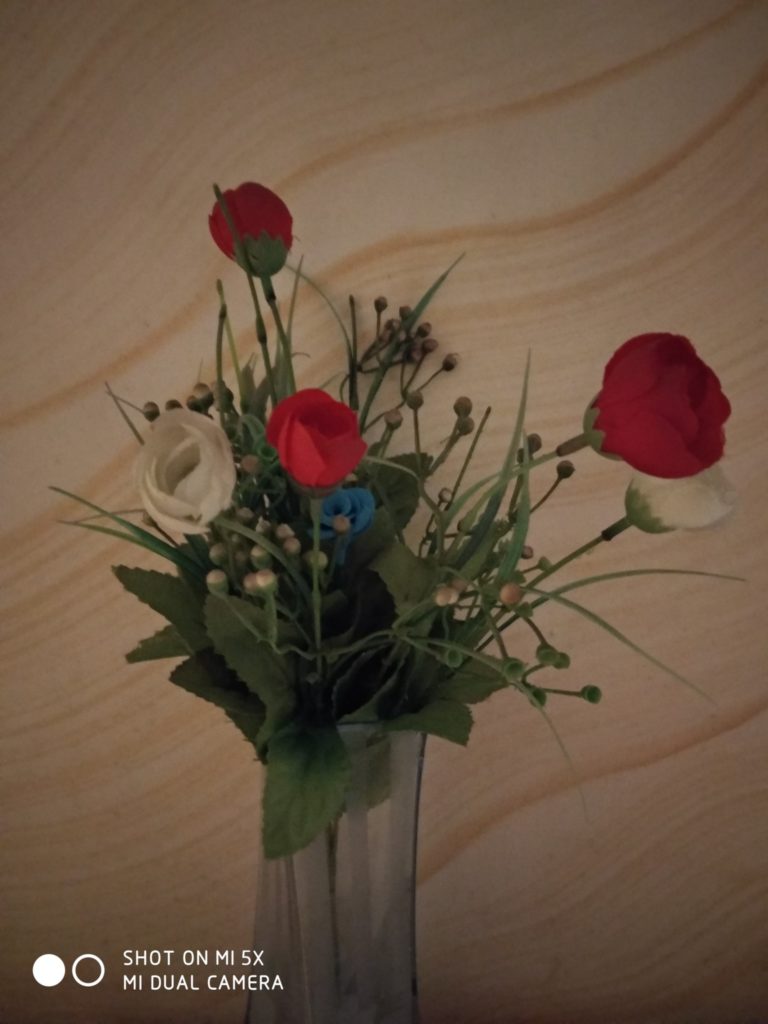 Xiaomi Mi 5X Cam samples (5)