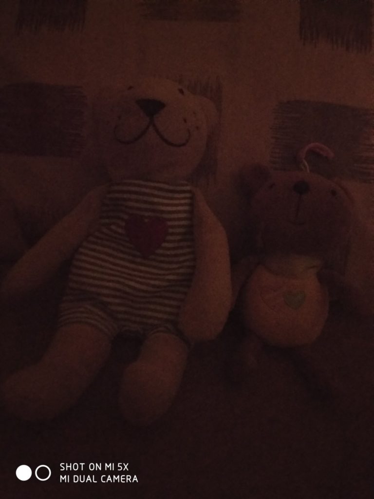 Xiaomi Mi 5X Cam samples (7)