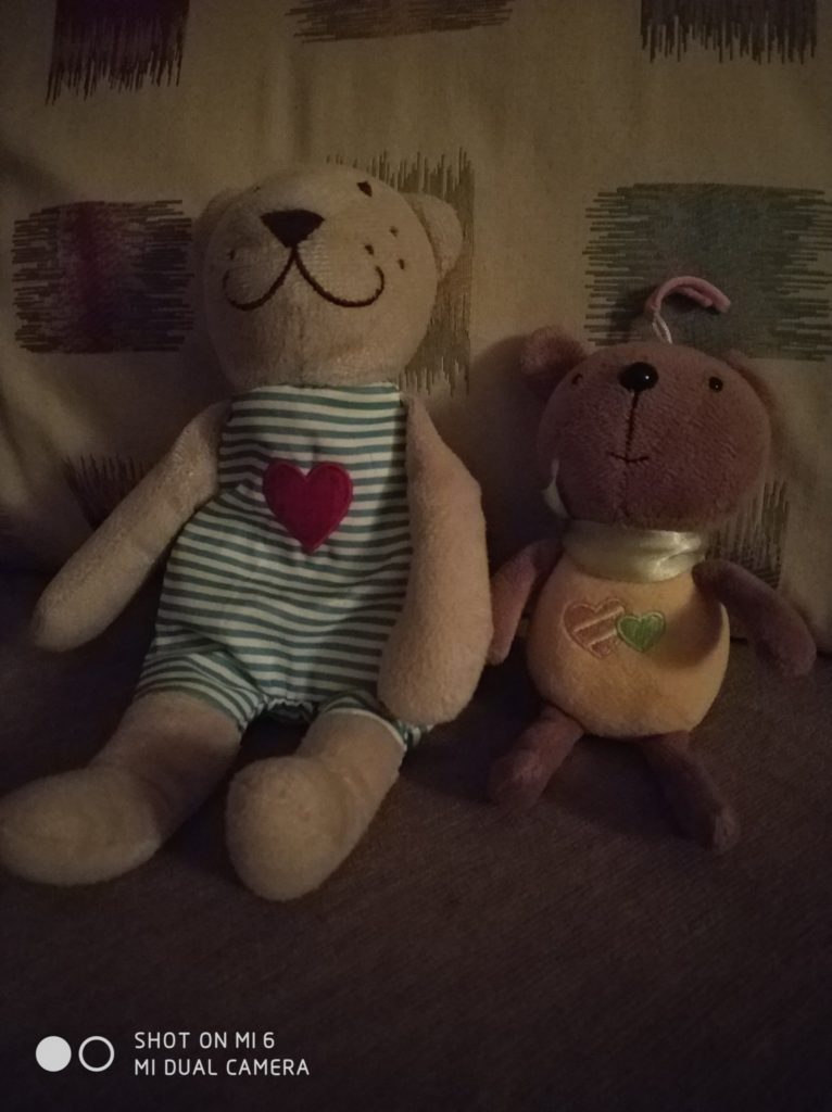 Xiaomi Mi 6 cam samples (2)