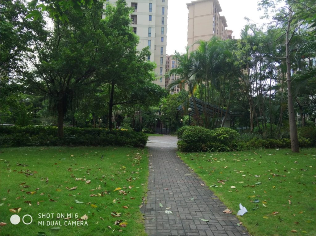 Xiaomi Mi 6 cam samples (24)