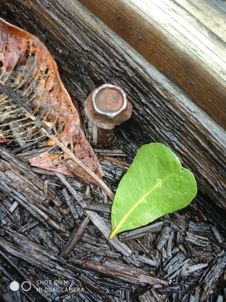 Xiaomi Mi 6 cam samples (27)