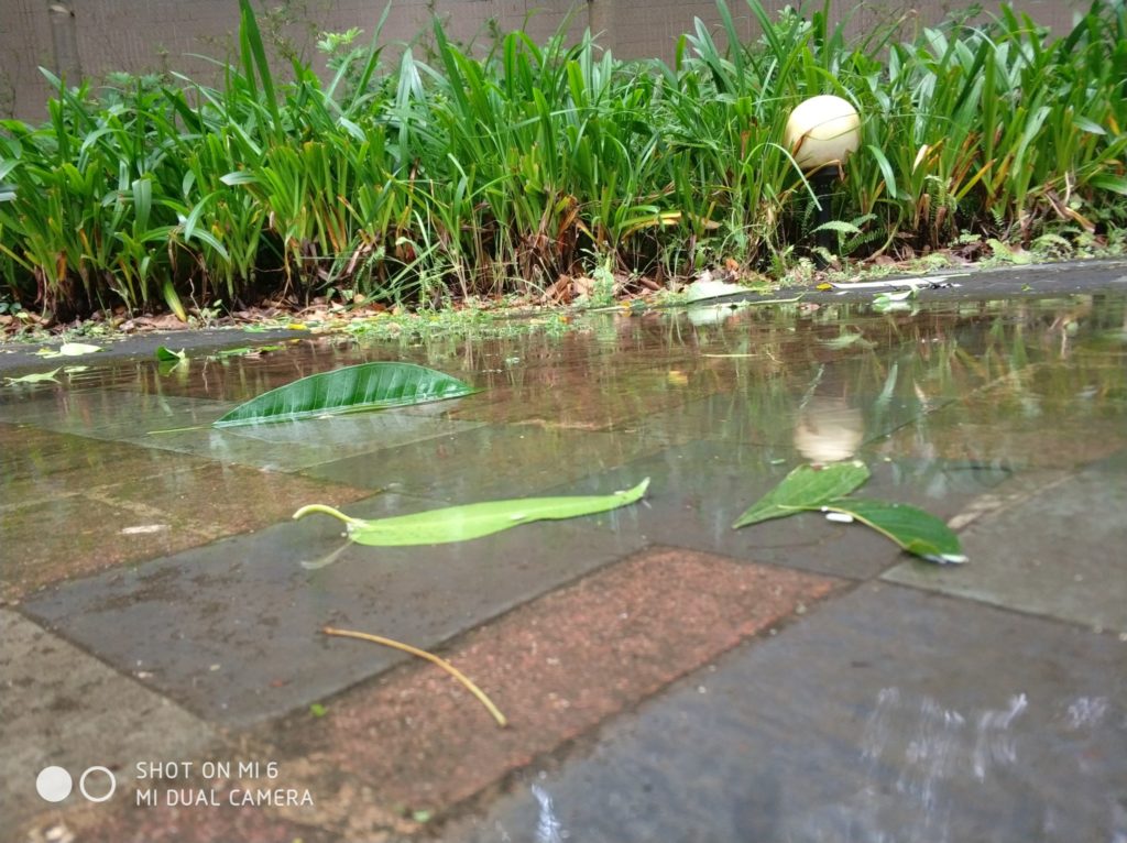 Xiaomi Mi 6 cam samples (29)