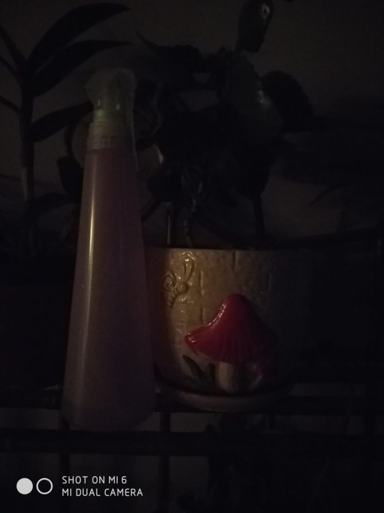 Xiaomi Mi 6 cam samples (4)