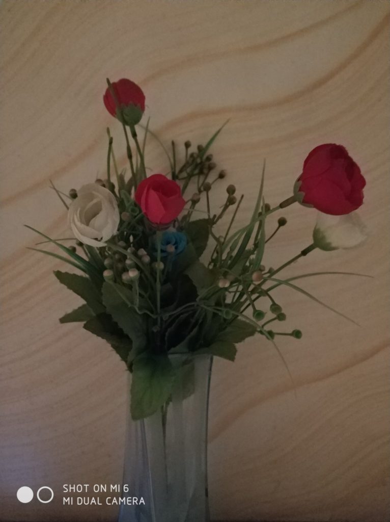 Xiaomi Mi 6 cam samples (5)