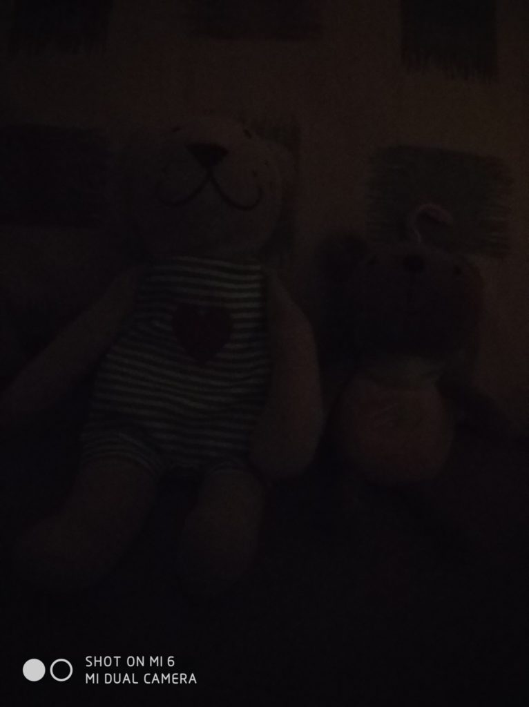 Xiaomi Mi 6 cam samples (7)