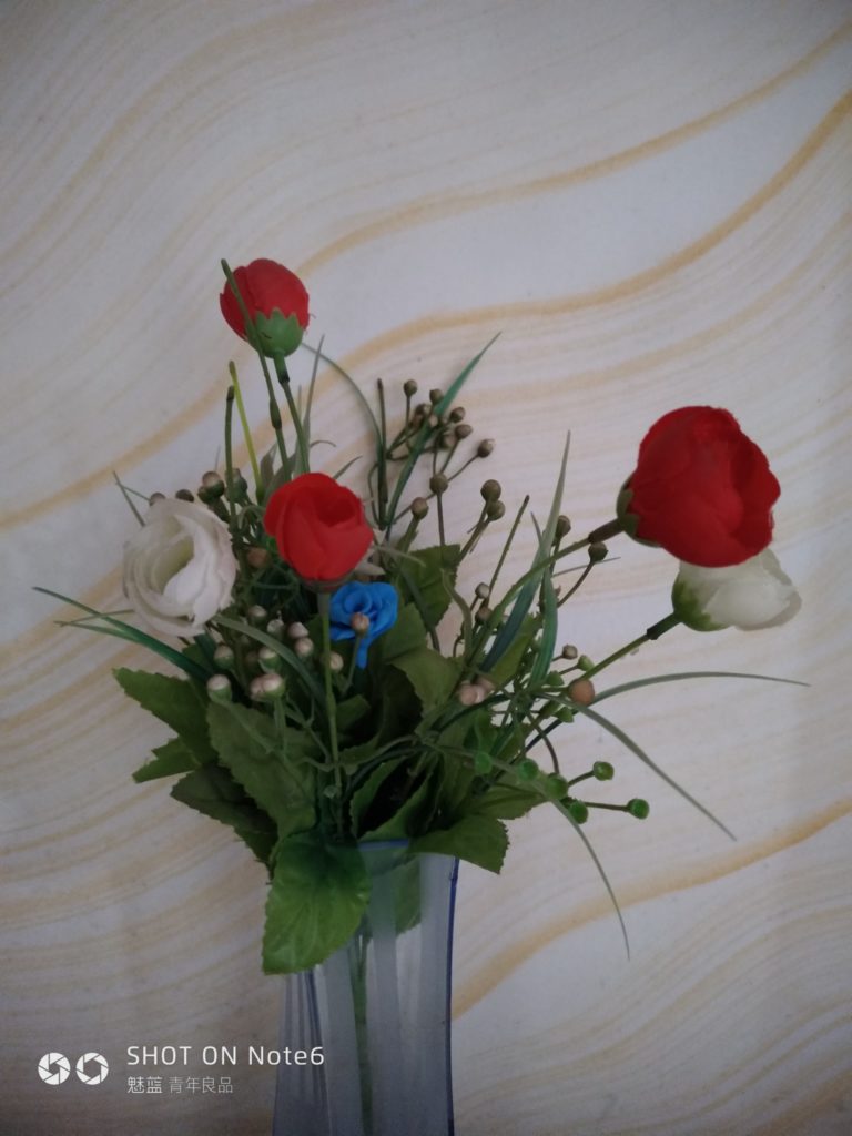 Meizu M6 Note Cam Sample 13