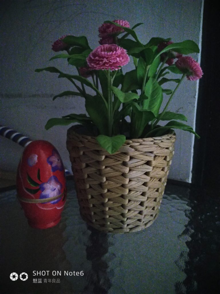 Meizu M6 Note Cam Sample 16