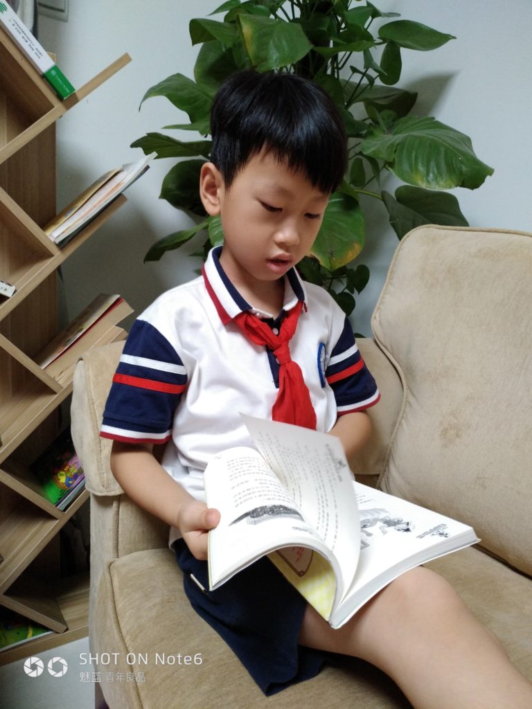 Meizu M6 Note Cam Sample 17